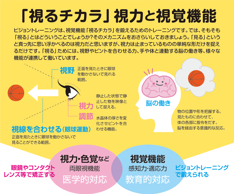 ビジョントレーニングとは、視る力を鍛えるためのトレーニングです。