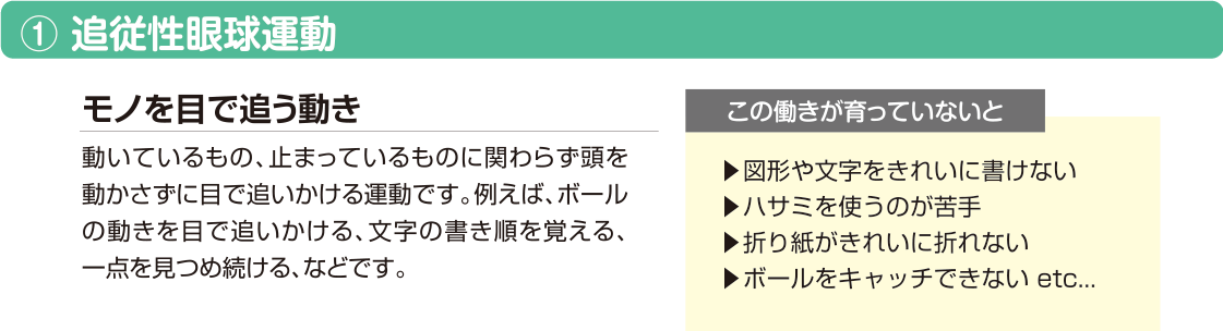 モノを目で追う動き「追従眼球運動」